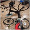 PhotoGrid_1637784940739.jpg