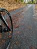 IMG_20221125_161030~2.jpg
