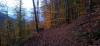 20221115_162632.jpg