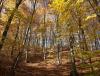 IMG-20251101-WA0003.jpg