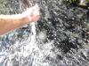 DSC08155.JPG