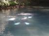DSC08170.JPG
