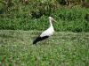 DSC08240.JPG