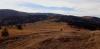 20201205_130924.jpg