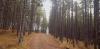 20201205_114324.jpg
