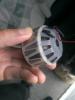 IMG_20200415_174001.jpg