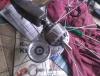 IMG_20200414_154449.jpg