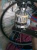 IMG_20200419_140004.jpg
