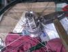 IMG_20200414_154501.jpg