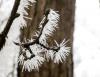 g9.jpg