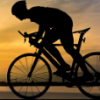 Savet oko izbora trenazera za bicikil - last post by Lizard