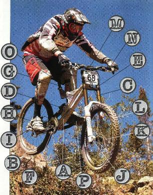 Downhill 2007