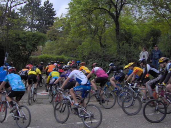 XIV Fruskogorski maraton - Rezultati