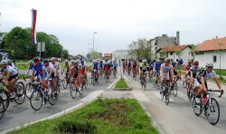 Biciklistički savez Srbije organizuje drugi deo trke „Banjaluka – Beograd“ za olimpijske bodove