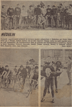 medulin
