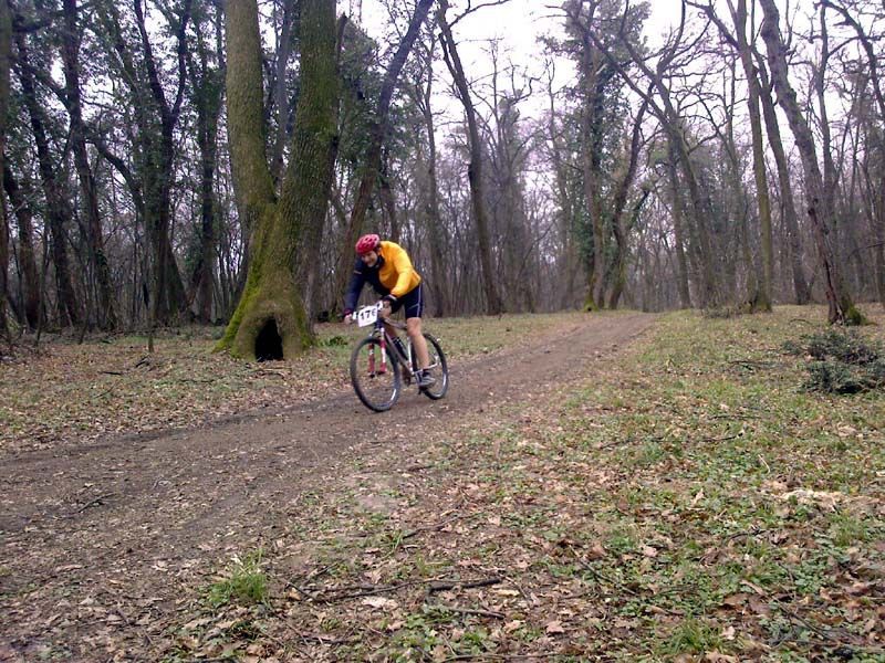 Photo-0042