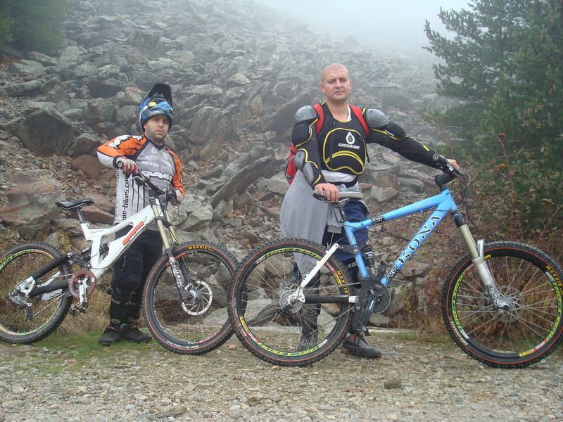 Karpetine