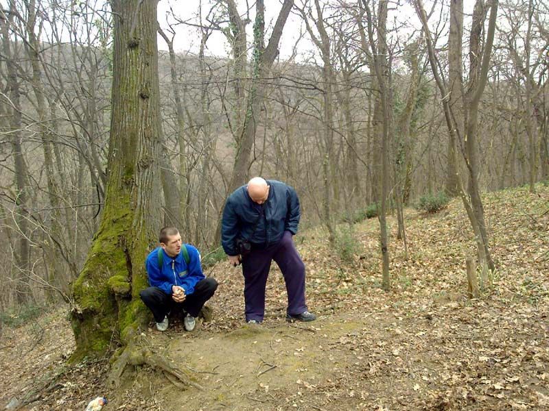 Photo-0038
