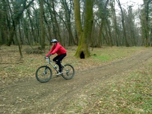 Photo-0039