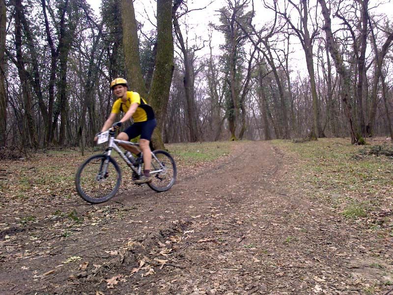 Photo-0052