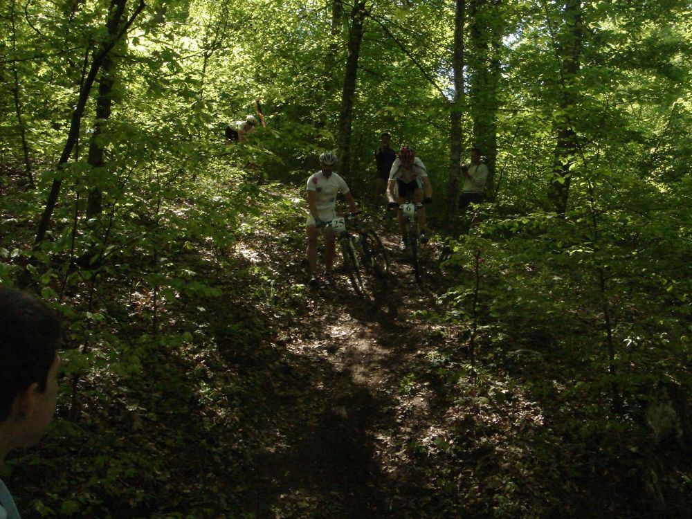 ribarska banja