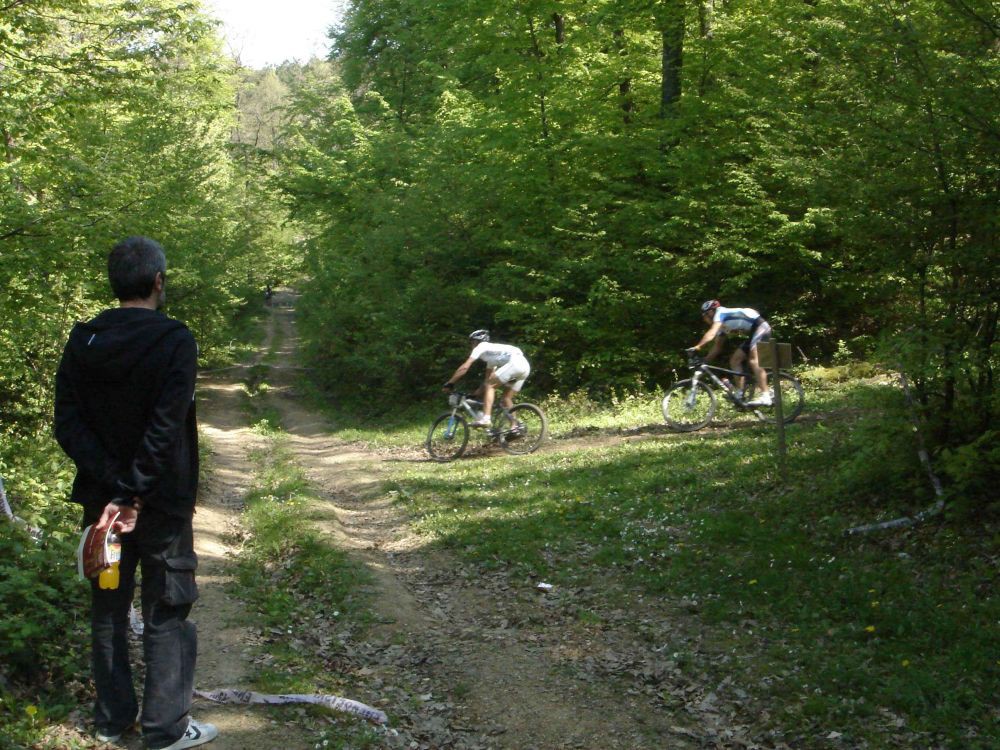 ribarska banja