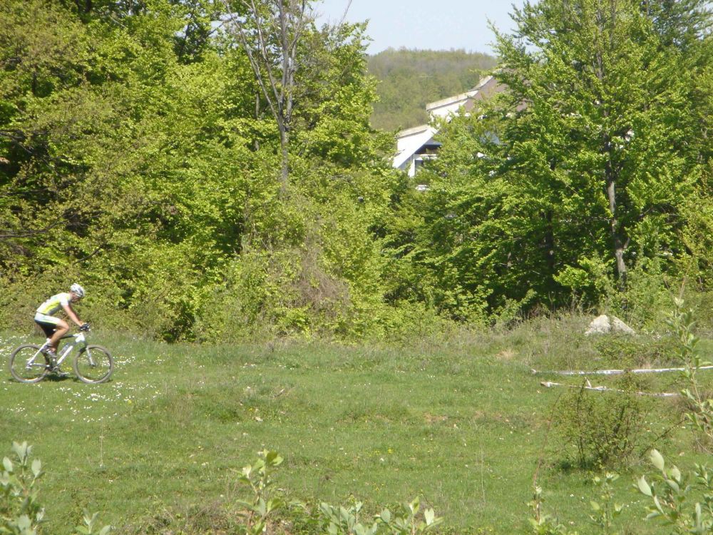 ribarska banja