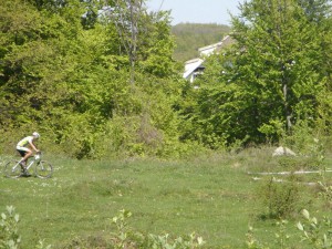 ribarska banja