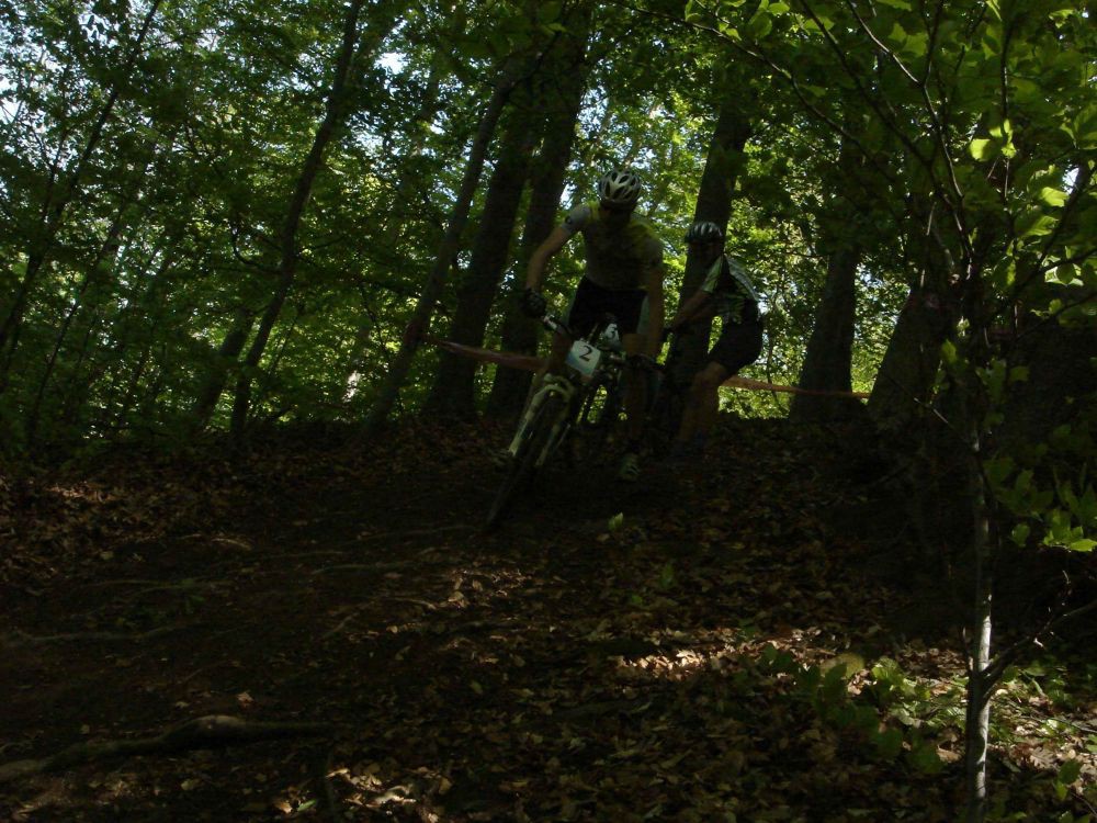 ribarska banja