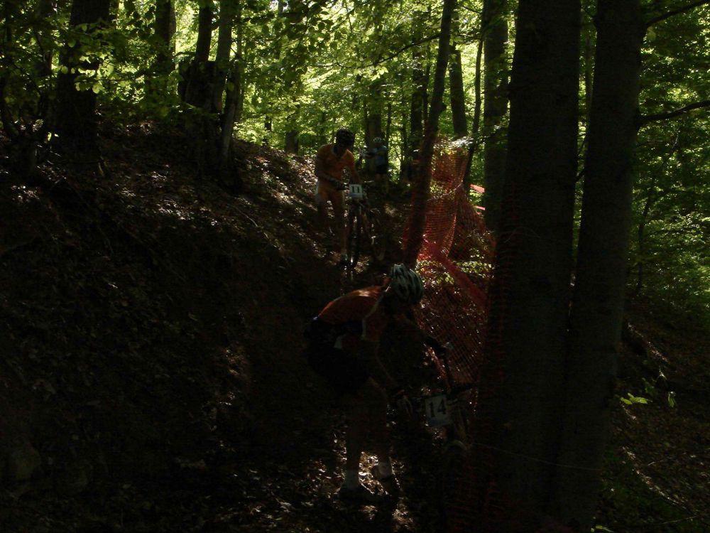 ribarska banja
