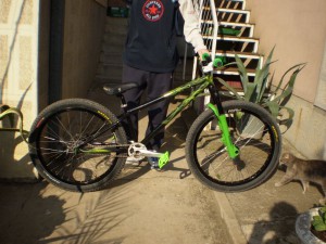 Norco 250 R