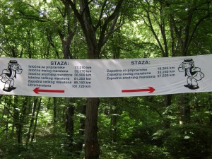 MTB FG20
