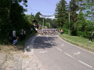 MTB FG23