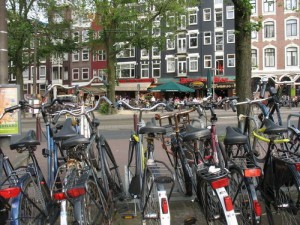 IMG_3500