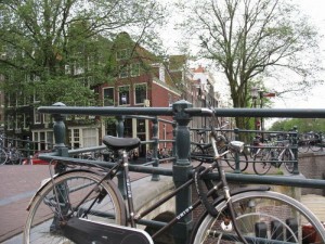 IMG_3597