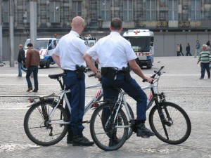 IMG_3881