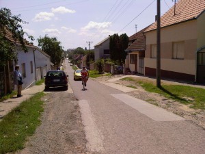 Sid 2009-0010