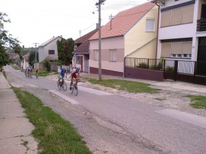 Sid 2009-0060