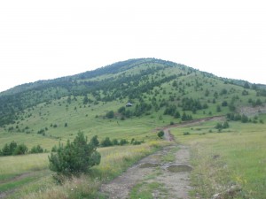 DSCN2786