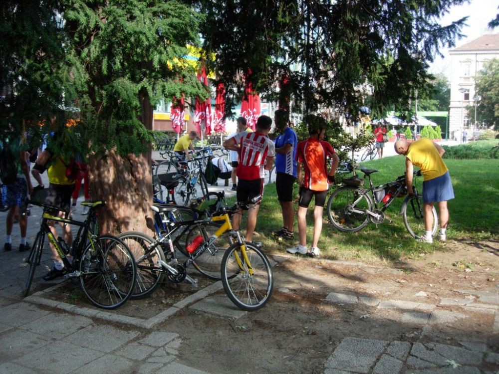 Zemun, Pinki - 1