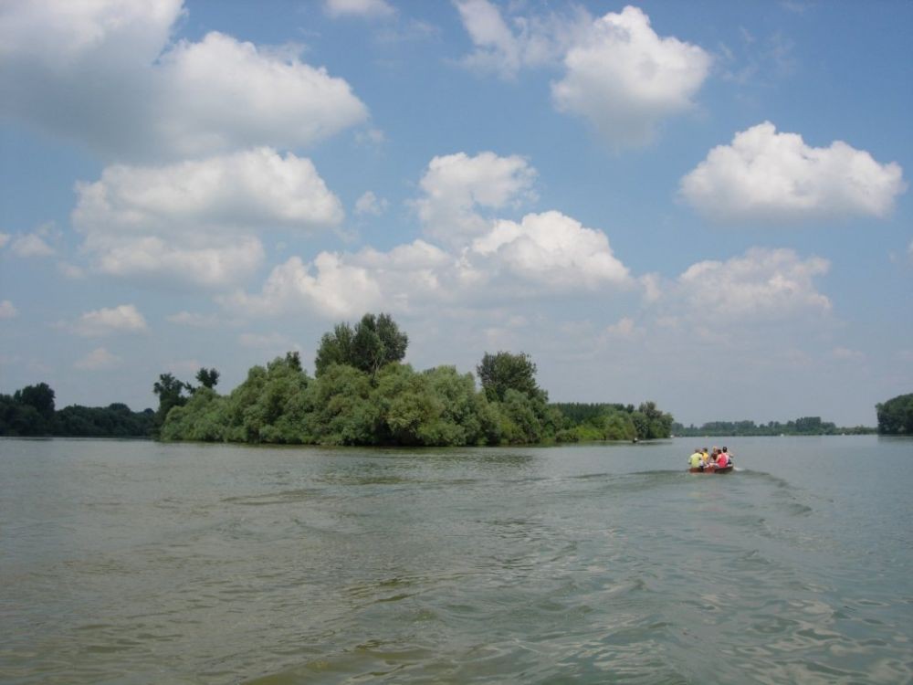 Dunav, Tisa - 10