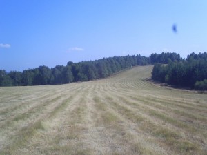 Cemernik kod Crne Trave 10