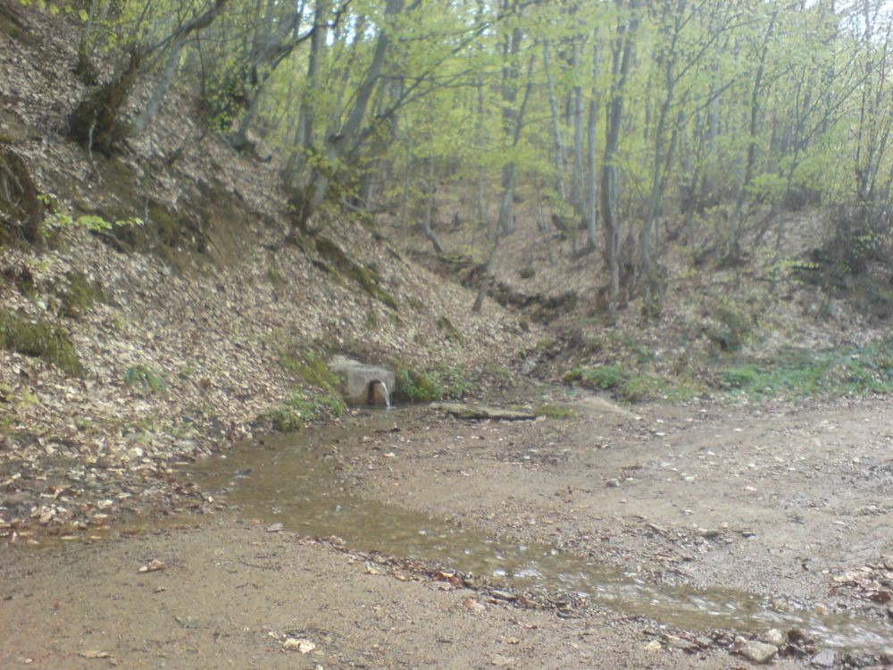 Cemernik kod Crne Trave 8