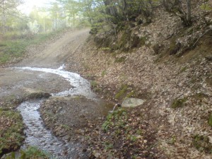 Cemernik kod Crne Trave 7
