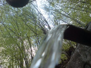 Cemernik kod Crne Trave 6