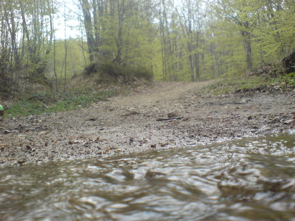 Cemernik kod Crne Trave 5