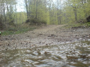 Cemernik kod Crne Trave 5