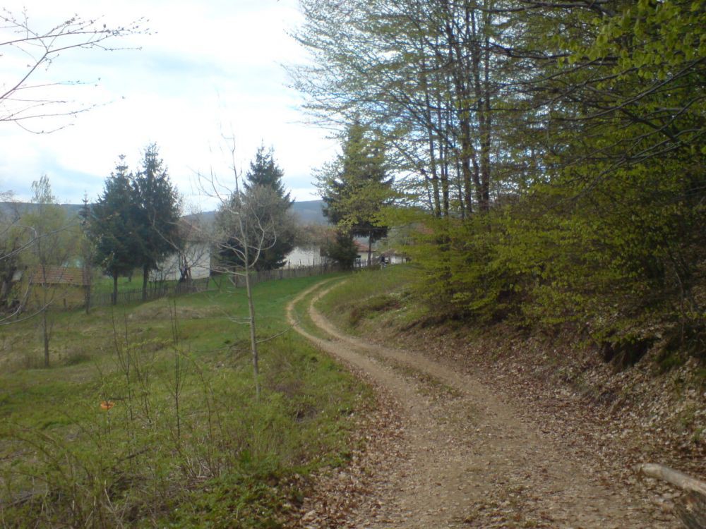 Cemernik kod Crne Trave 3