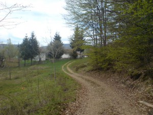 Cemernik kod Crne Trave 3