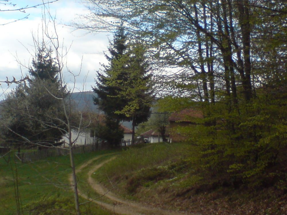 Cemernik kod Crne Trave